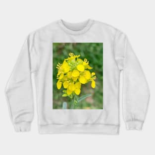 Yellow lampshade flower Crewneck Sweatshirt